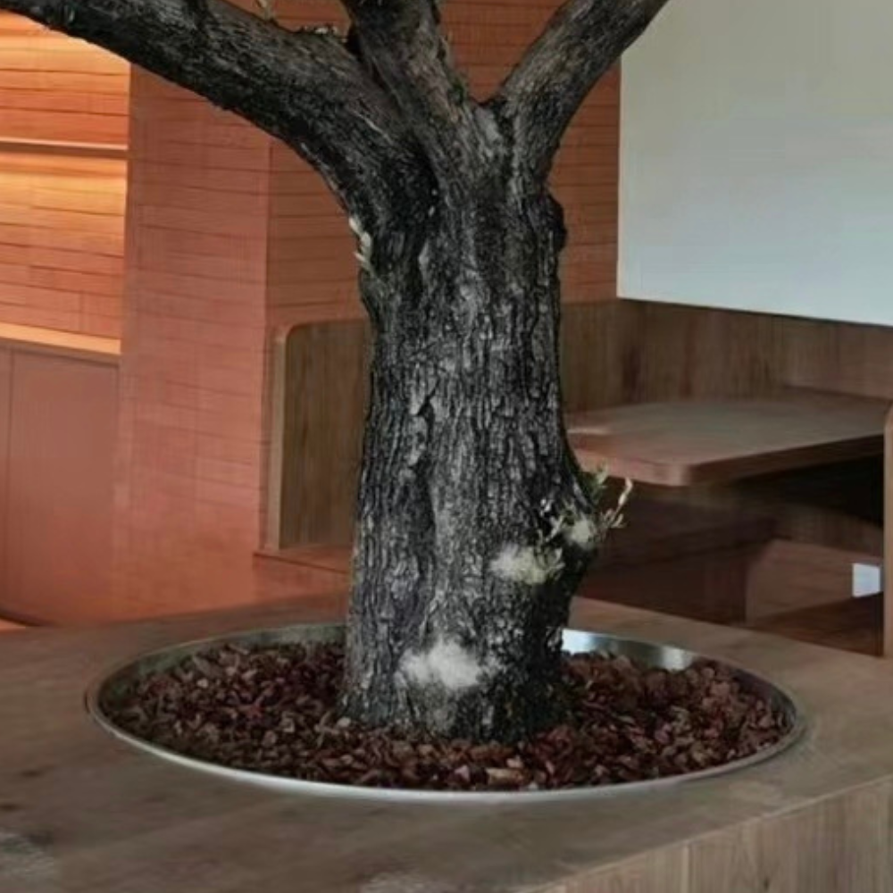 Pot and base of the 8ft artificial olive tree, topped with moss and gravel