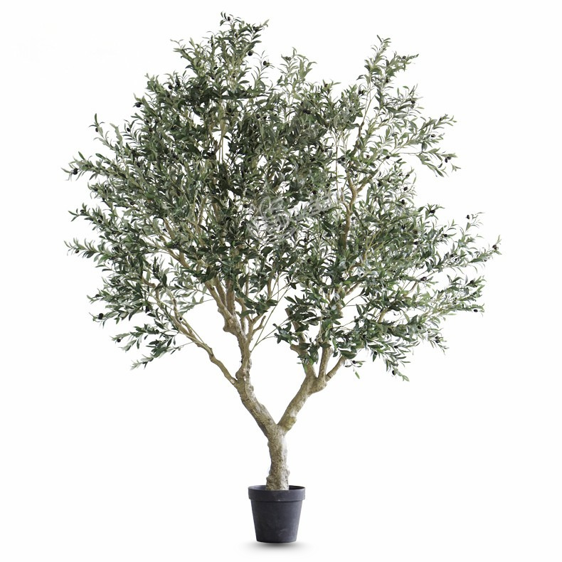 Faux olive bonsai for indoor display, silver-green leaves on a sculpted trunk