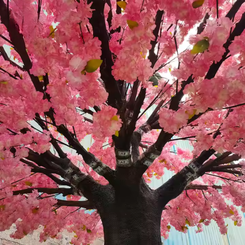 The blossom tree set behind a wedding ceremony as a floral backdrop