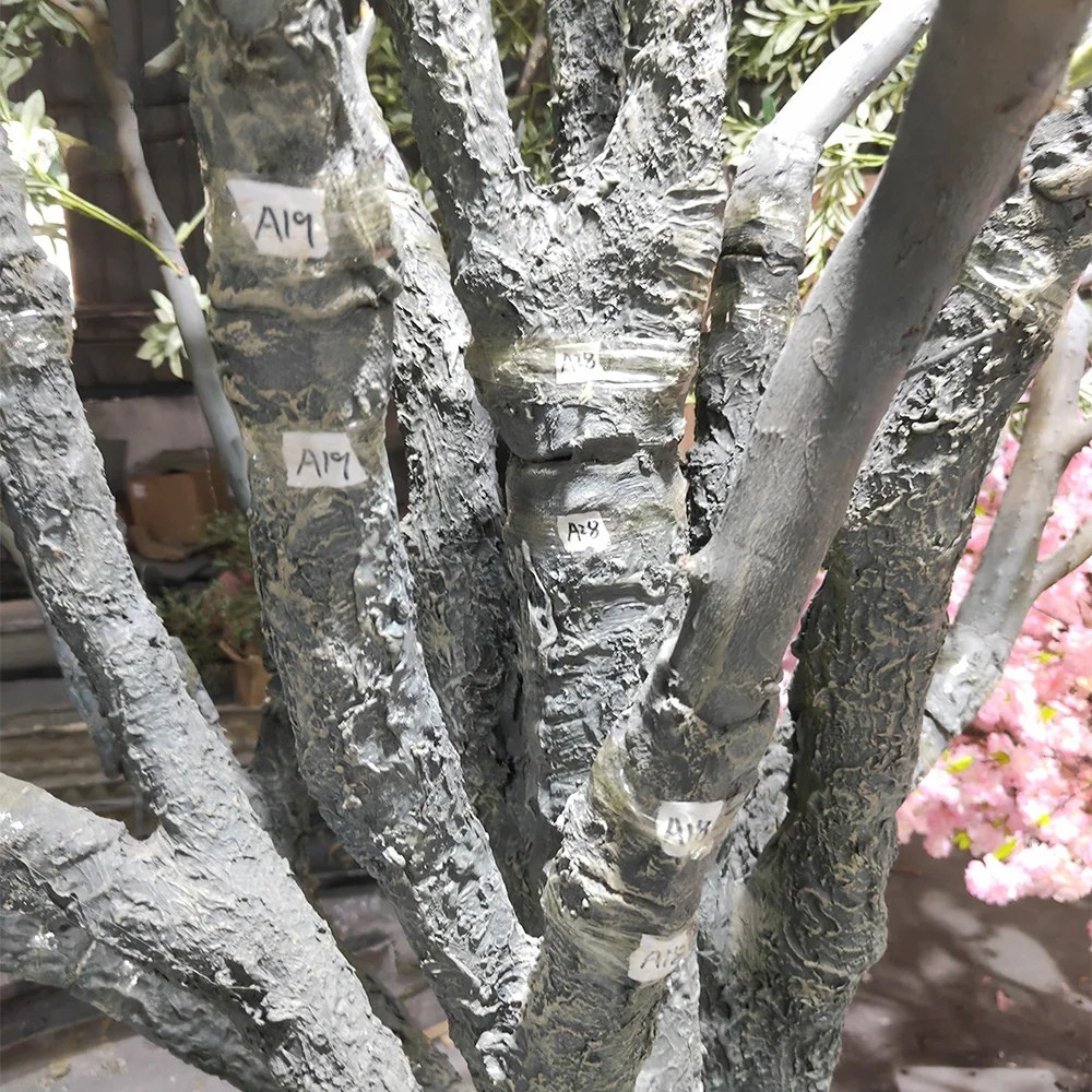 The trunk of the 4.8m olive tree rising up out of the white planter
