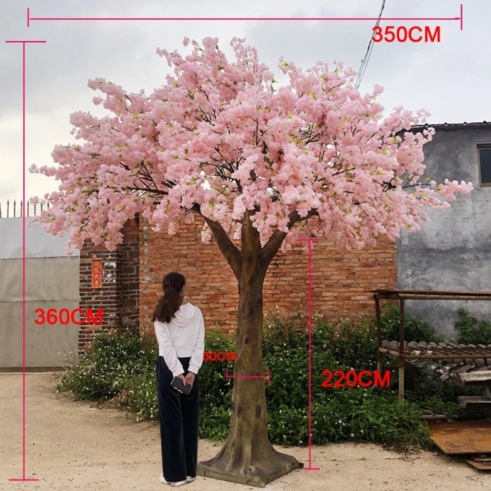 Base of the 3.5m cherry blossom tree where the trunk meets its planter