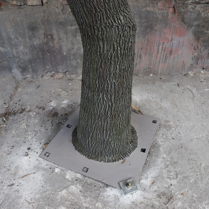 The natural wood trunk of the 2.5m banyan with its bark grain visible