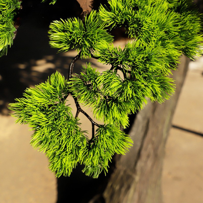 The sculpted trunk of the 10ft welcoming pine curving up from the base
