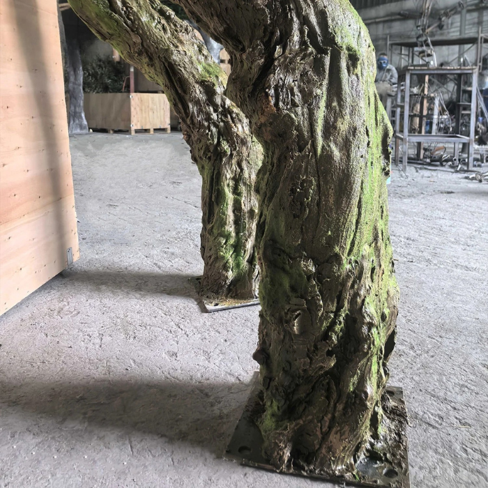 The pine bonsai used indoors as a low display piece beside a seating area