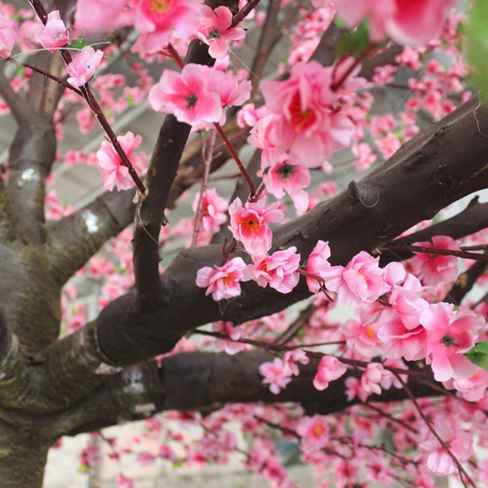 The natural wood trunk of the 3m peach blossom tree, bark grain visible