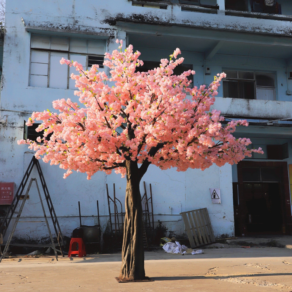 The 11.5ft blossom tree used outdoors beside a paved garden walkway