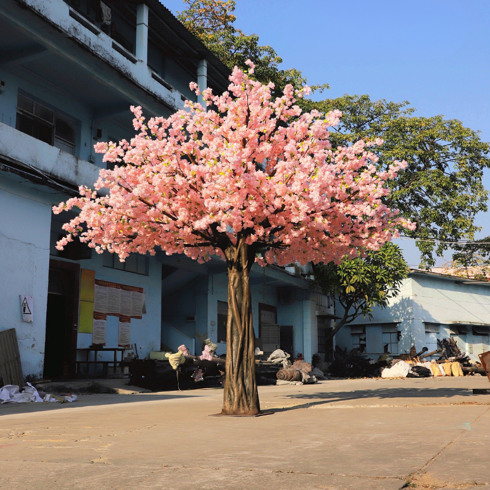Close-up of the cherry blossoms and buds set along the slim outer twigs