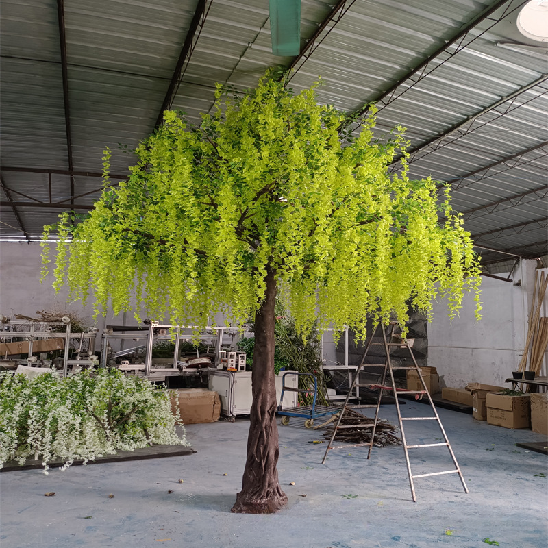 The trunk and branch frame of the wisteria beneath its flowering canopy