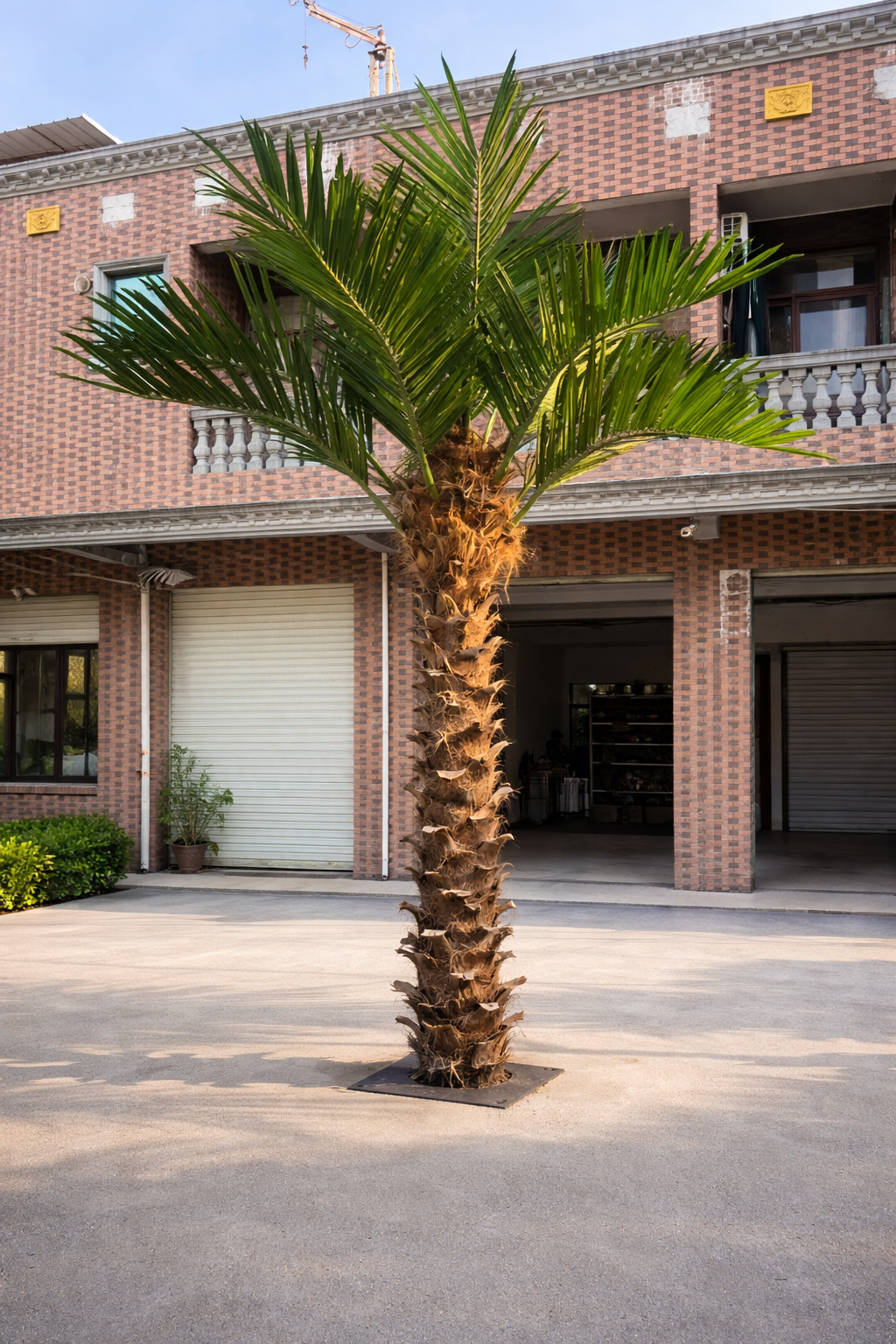 The same coconut palm used outdoors on a patio beside a lounge chair