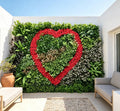 Vertical boxwood hedge wall panel used as an indoor green backdrop, densely leaved