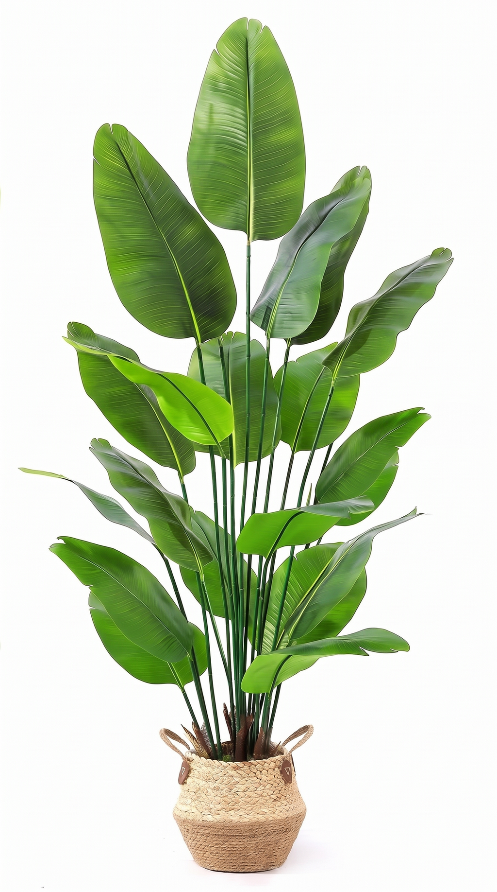 Artificial bird of paradise plant in a woven seagrass basket on a white background