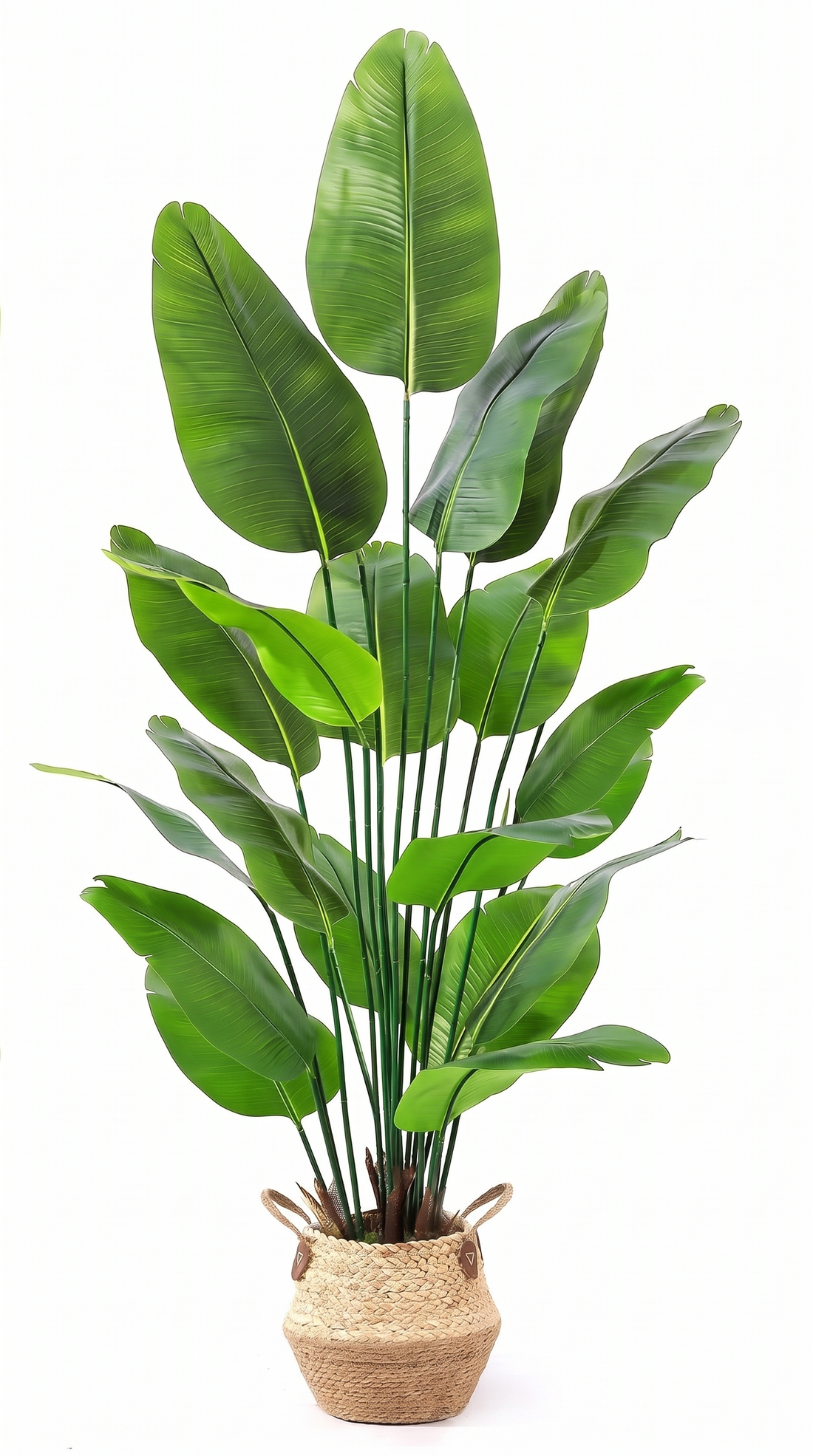 Artificial bird of paradise plant in a woven seagrass basket on a white background