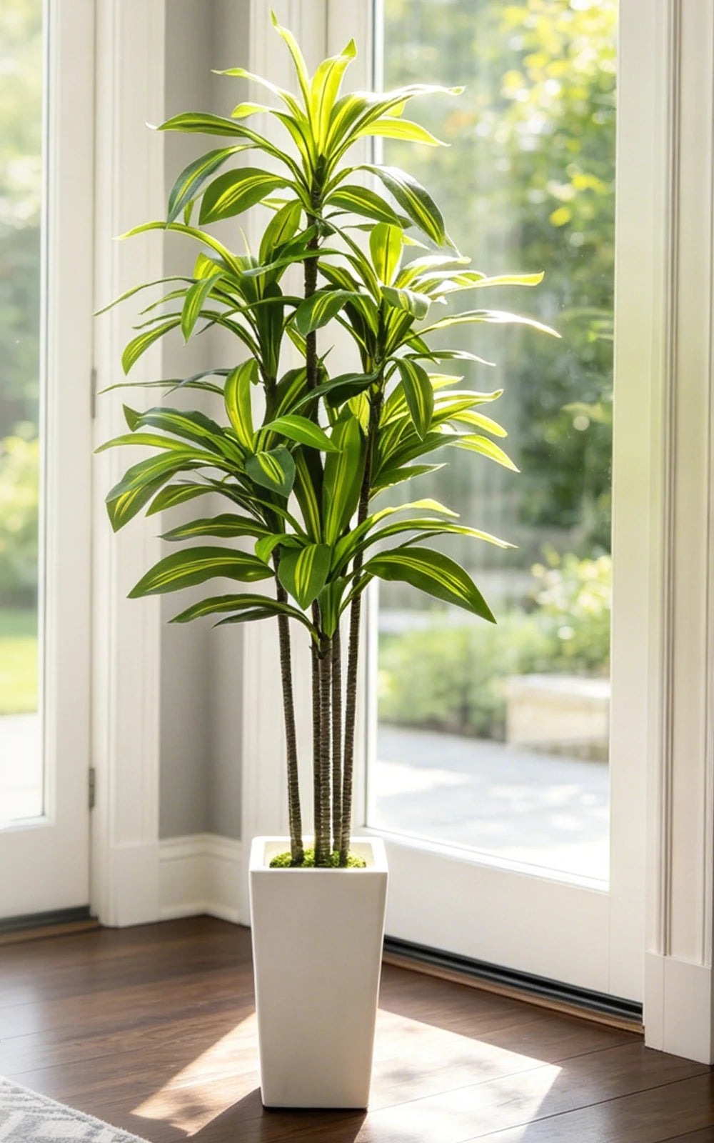 Artificial Dracaena Tree - 5 ft, White Tall Planter with Faux Moss
