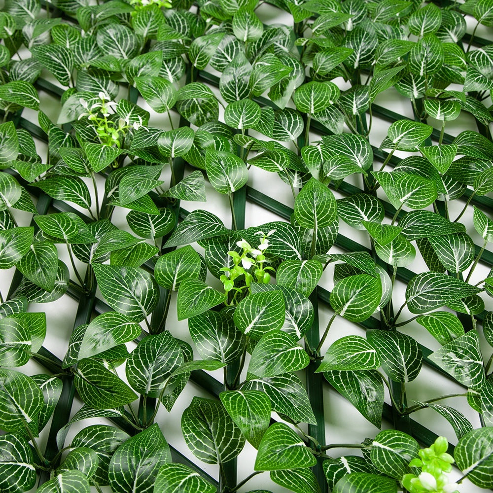 Close-up of the hedge foliage clipped along the slats of the extendable trellis frame