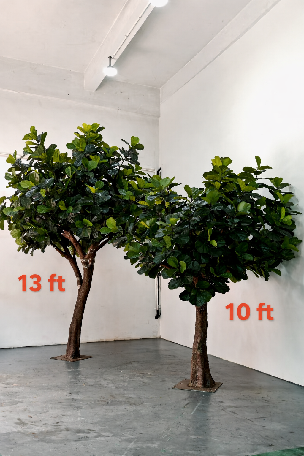 Pot and base of the 4m artificial fiddle leaf fig, finished with moss