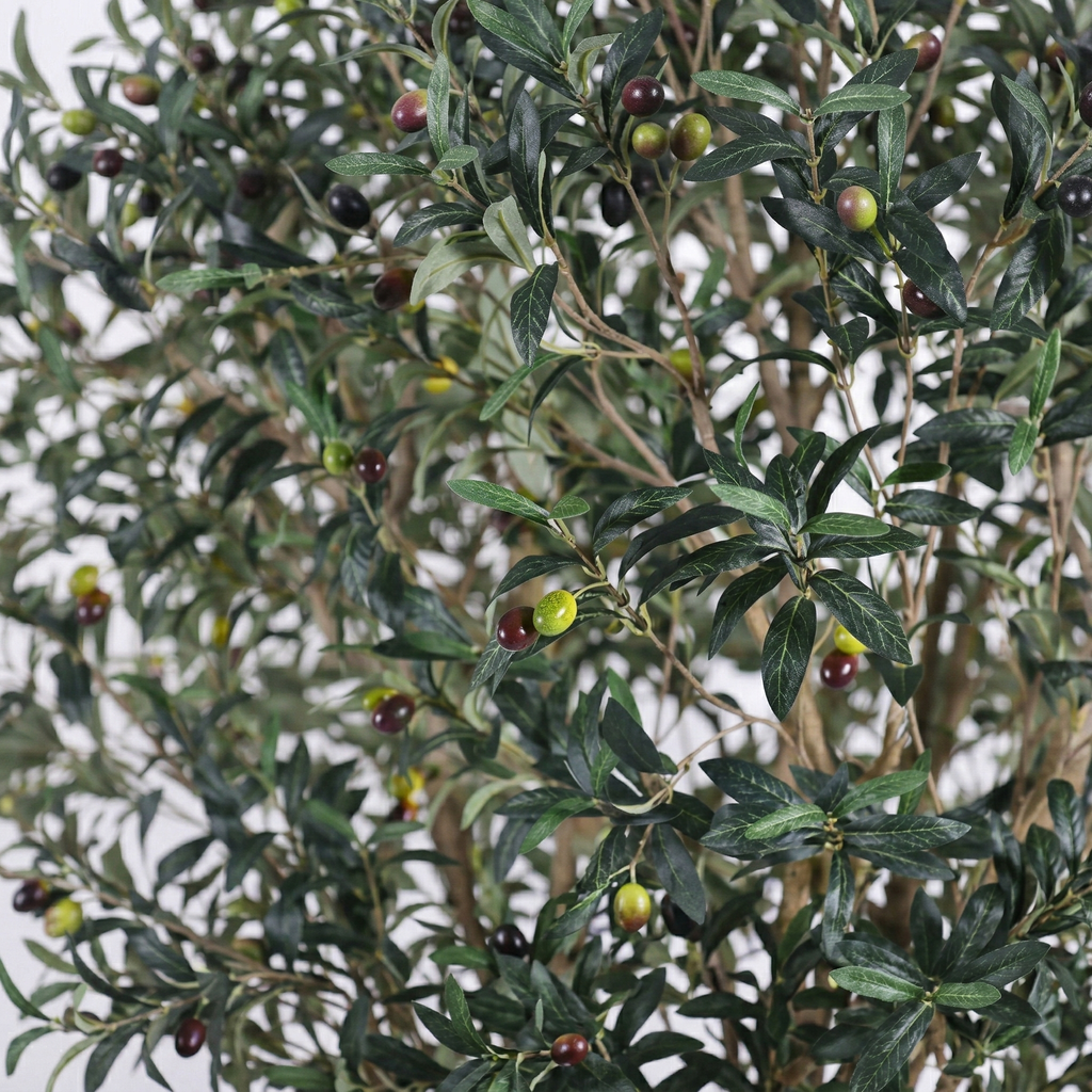 The trunk splitting into its main limbs partway up the 8ft artificial olive tree