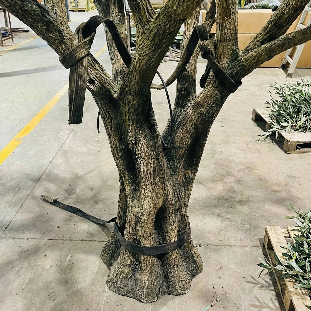 Olive trees placed either side of an entrance in a commercial interior