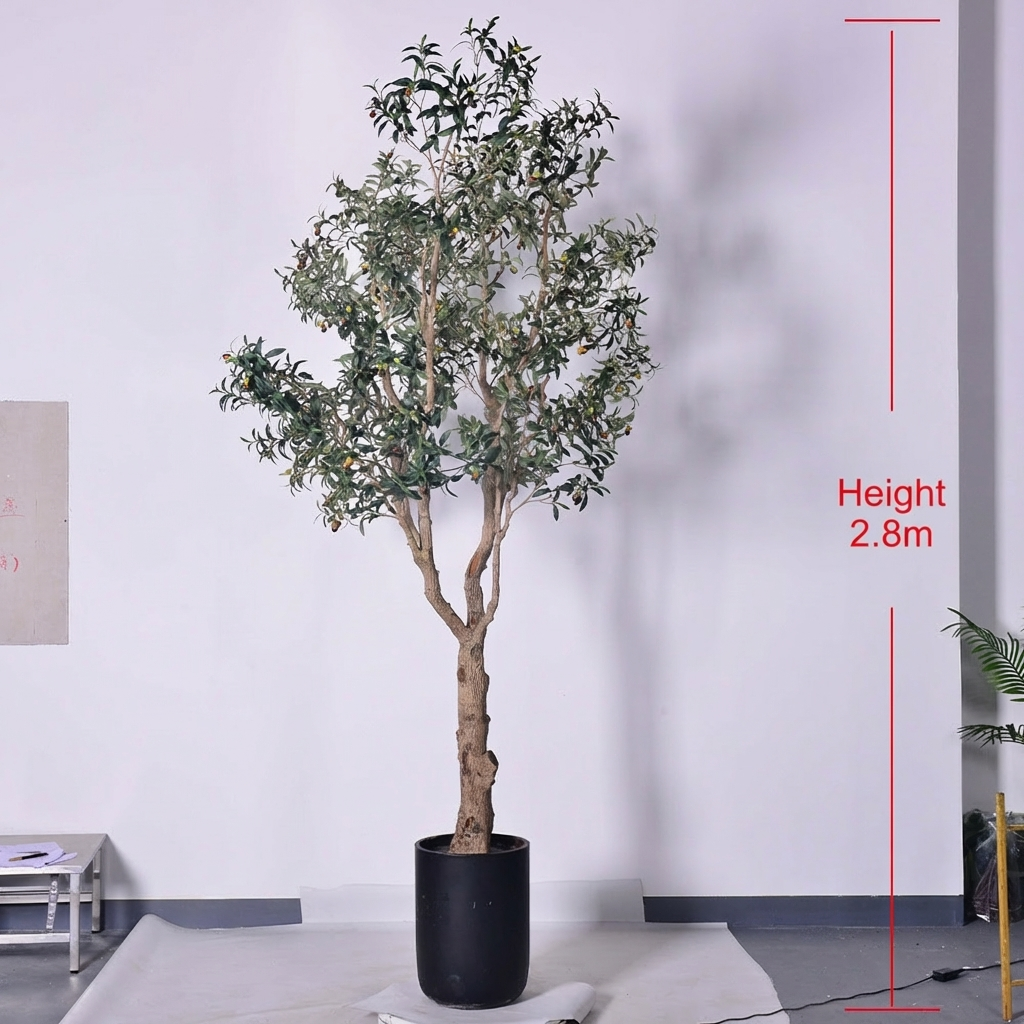 The 8ft olive tree in a hotel lobby, foliage spreading above a seating area