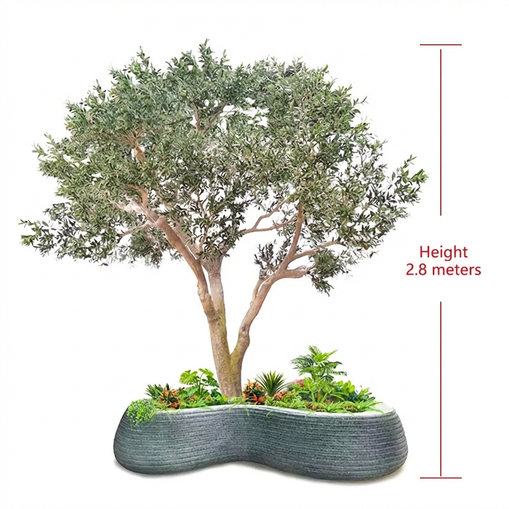 Branch structure of the olive tree seen through gaps in the silver foliage