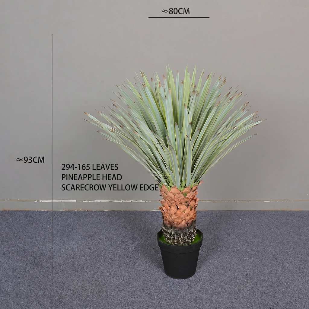 The thick central stem of the 180cm pineapple head plant rising from its base