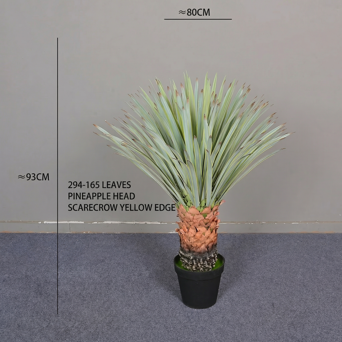 The thick central stem of the 180cm pineapple head plant rising from its base