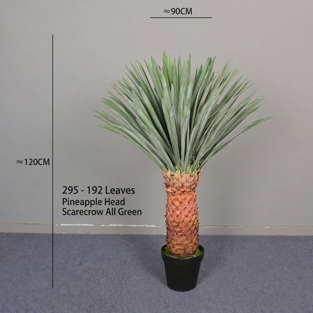 Leaf tips of the pineapple head plant curving out and down at the ends