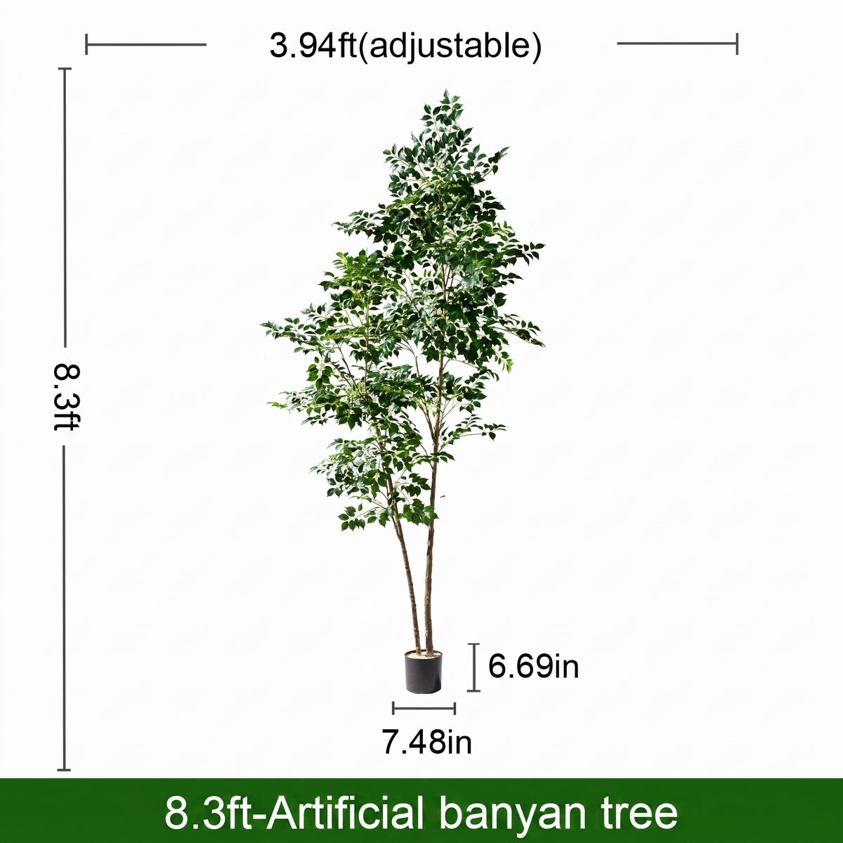 Branch tips of the banyan with the leaves layered into a dense surface