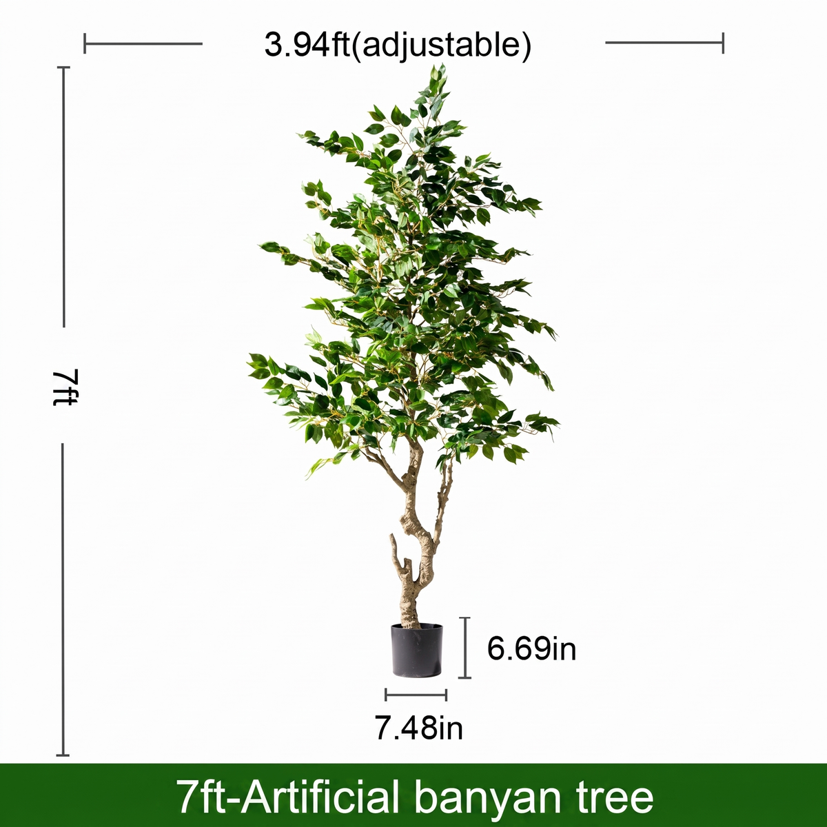 The banyan trunk and its aerial roots at the base of the 6ft potted tree