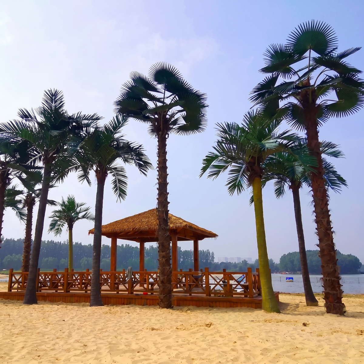 The faux palm styled in a hotel lobby beside a tropical seating arrangement