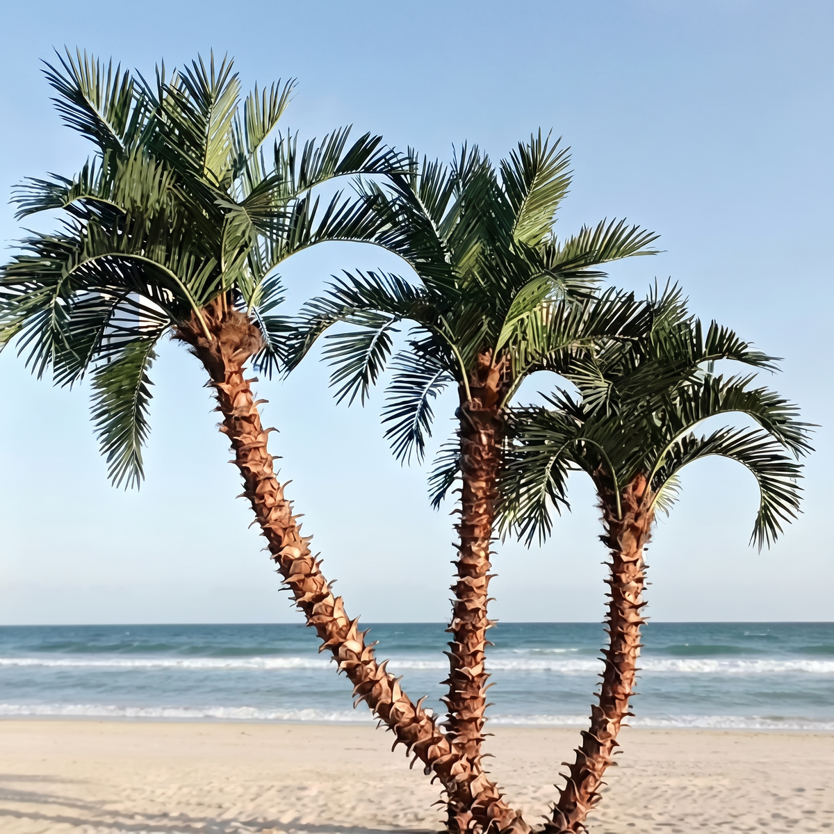 Tall artificial coconut palm with broad green fronds, made in heights from 2m to 5m