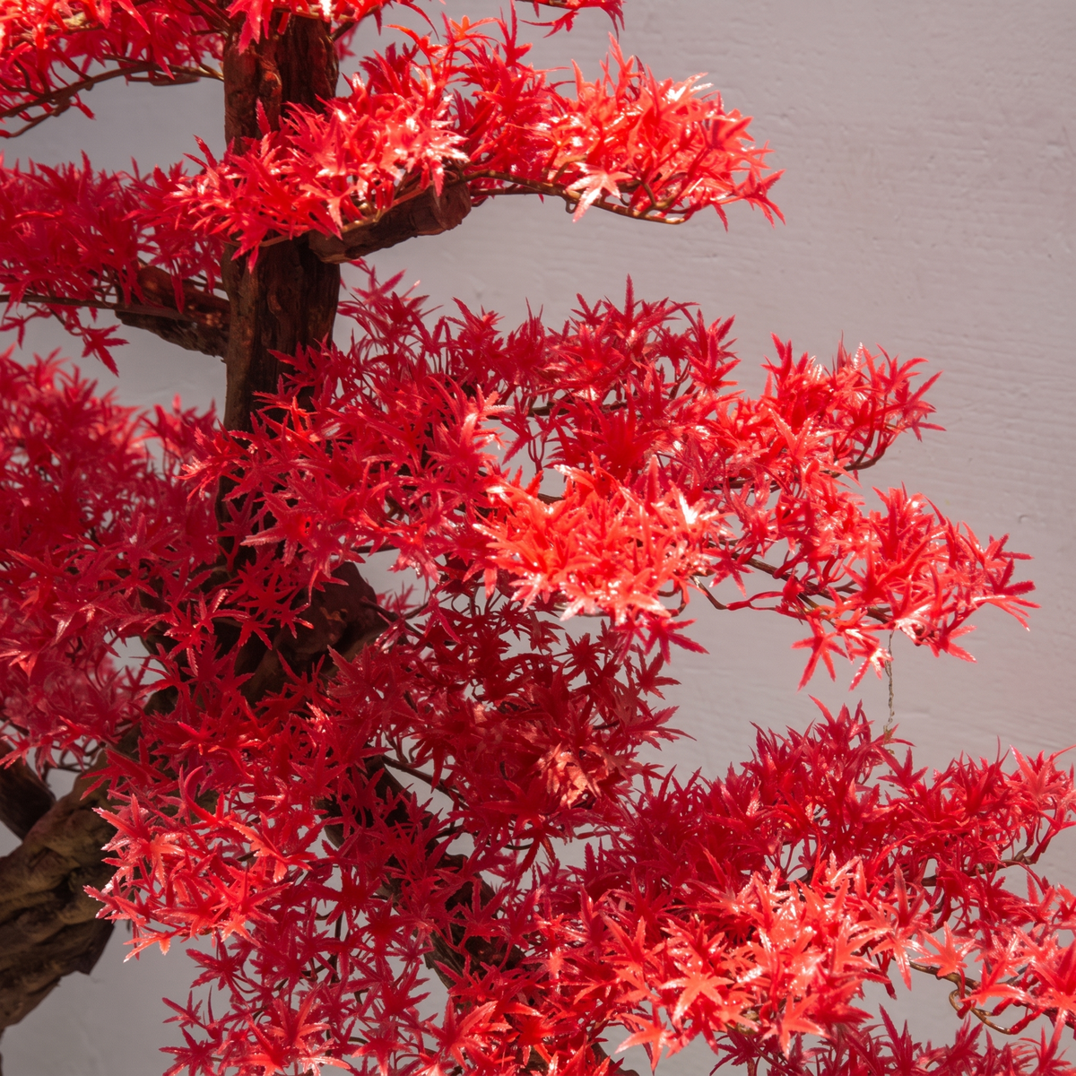 The maple trunk and branch structure showing through beneath the red canopy
