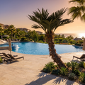 Curved artificial coconut palm tree on a resort poolside terrace