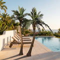 Artificial coconut palm tree beside a resort pool deck