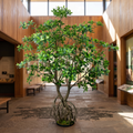 Artificial mangrove tree in a visitor centre interior
