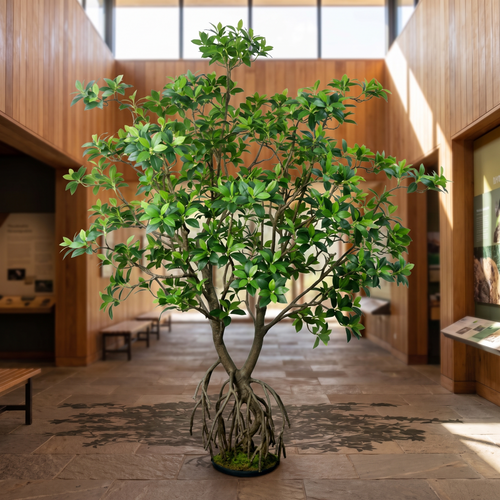 Artificial mangrove tree in a visitor centre interior
