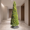 Artificial conical topiary tree in a hotel corridor