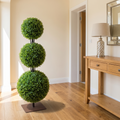 Artificial pine topiary cypress ball tree in a hallway