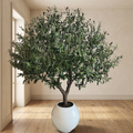 Artificial olive tree with wood branch in a minimalist living room