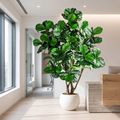 Artificial fiddle leaf fig tree in an office reception