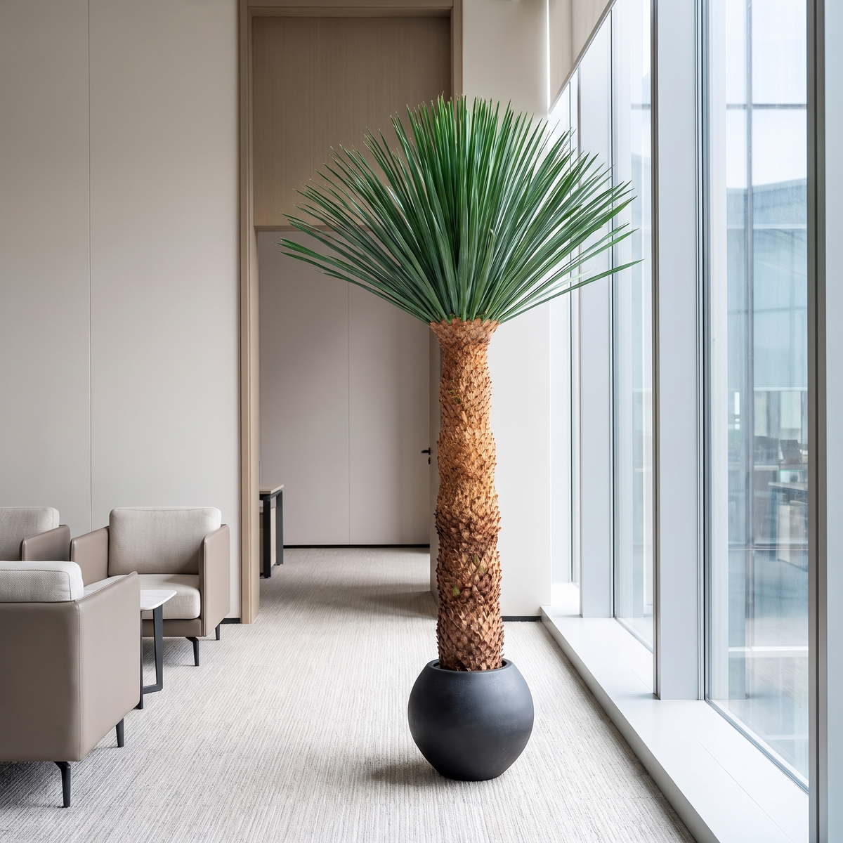 Artificial dracaena tree in an office lounge