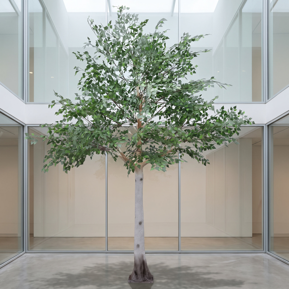 Artificial silver birch tree in a gallery atrium