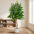 Artificial ficus benjamina tree in a reading room