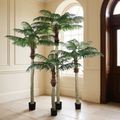Artificial areca palm tree in a hotel lobby corner