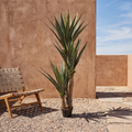 Artificial agave plant on an outdoor desert-modern patio