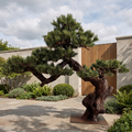 Realistic Japanese Faux Pine Tree