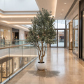Artificial Olive Tree for Hotels Malls