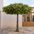 Artificial Lemon Tree with Fruits