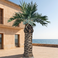 UV Resistant Artificial Palm Tree Outdoor