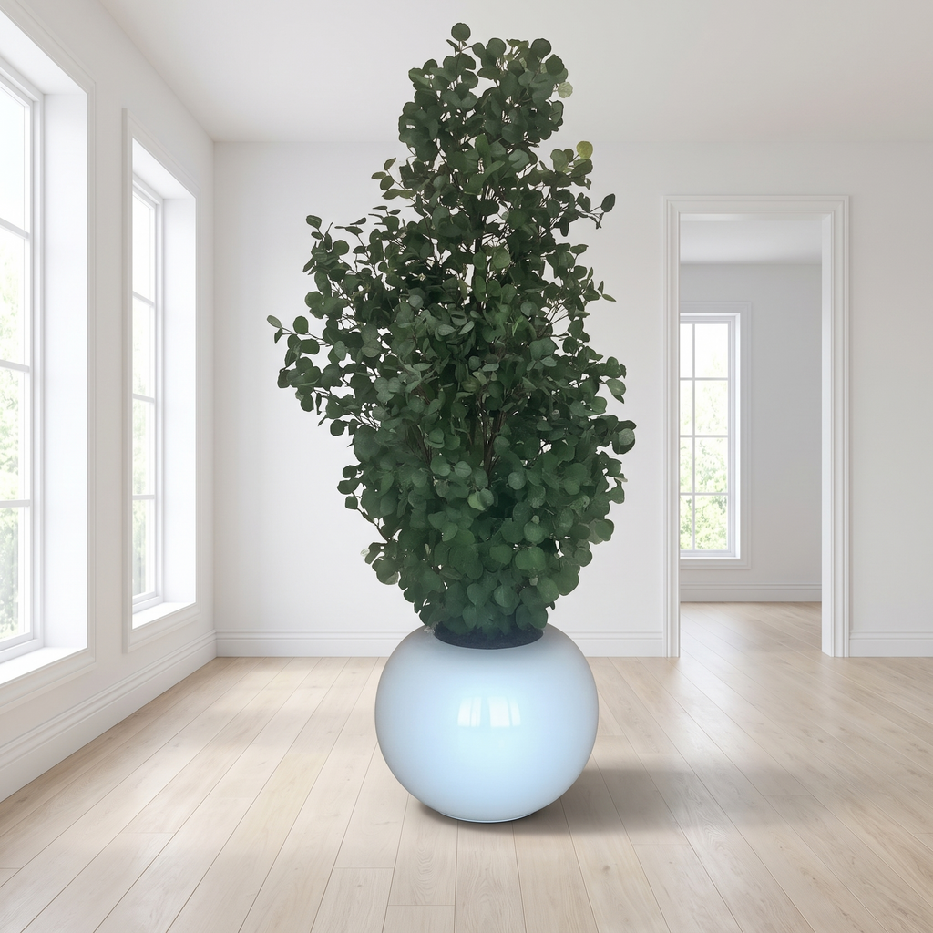 Tall Artificial Eucalyptus Tree Bonsai