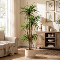 Artificial Dracaena Marginata Large Indoor Outdoor Decor